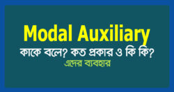 Modal-Auxiliary