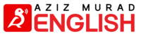 logo.AzizMurad.com